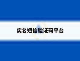 实名短信验证码平台