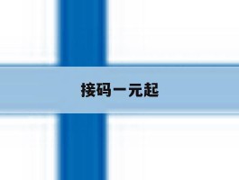 接码一元起