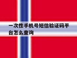 一次性手机号短信验证码平台怎么查询