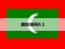 国际接码0.1