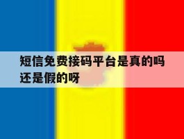 短信免费接码平台是真的吗还是假的呀