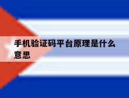 手机验证码平台原理是什么意思