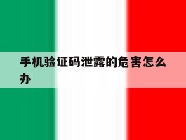 手机验证码泄露的危害怎么办