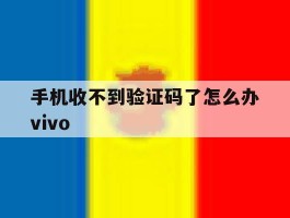 手机收不到验证码了怎么办vivo