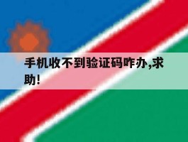 手机收不到验证码咋办,求助!的简单介绍