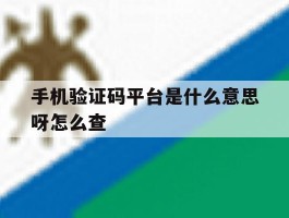 手机验证码平台是什么意思呀怎么查