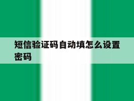 短信验证码自动填怎么设置密码