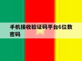 手机接收验证码平台6位数密码