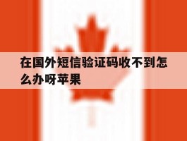 在国外短信验证码收不到怎么办呀苹果