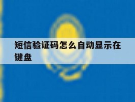短信验证码怎么自动显示在键盘