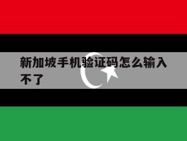 新加坡手机验证码怎么输入不了