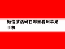 短信激活码在哪里看啊苹果手机