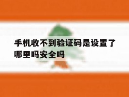 关于手机收不到验证码是设置了哪里吗安全吗的信息