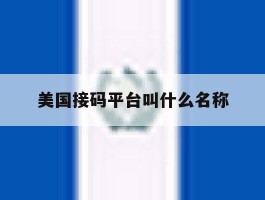 美国接码平台叫什么名称