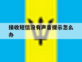 接收短信没有声音提示怎么办