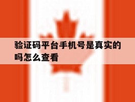 验证码平台手机号是真实的吗怎么查看