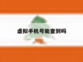 虚拟手机号能查到吗