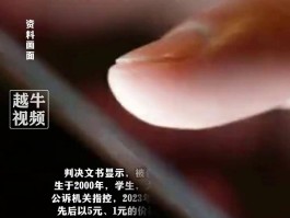 代理平台传播淫秽犯法吗