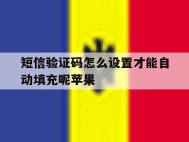 短信验证码怎么设置才能自动填充呢苹果