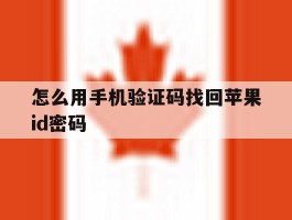 关于怎么用手机验证码找回苹果id密码的信息