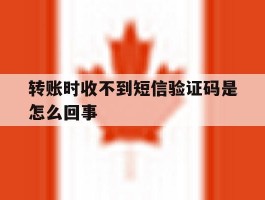 转账时收不到短信验证码是怎么回事