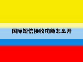 国际短信接收功能怎么开