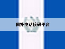 国外电话接码平台