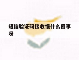 短信验证码接收慢什么回事呀
