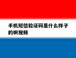 手机短信验证码是什么样子的啊视频