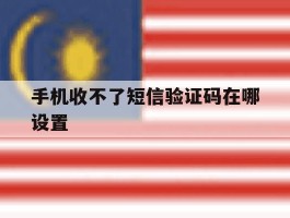 手机收不了短信验证码在哪设置