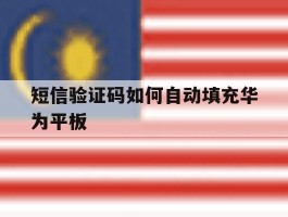 短信验证码如何自动填充华为平板