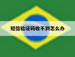 短信验证码收不到怎么办