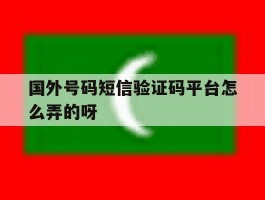 国外号码短信验证码平台怎么弄的呀
