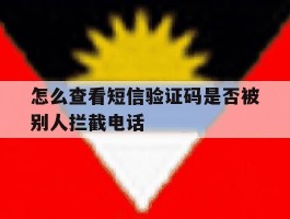 包含怎么查看短信验证码是否被别人拦截电话的词条
