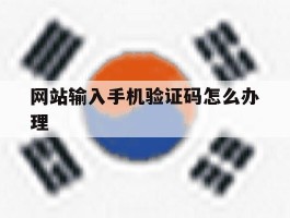 网站输入手机验证码怎么办理