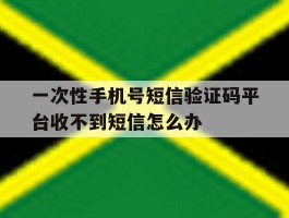 一次性手机号短信验证码平台收不到短信怎么办的简单介绍