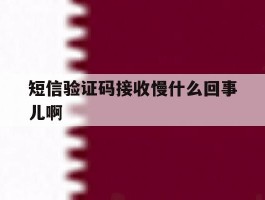 短信验证码接收慢什么回事儿啊