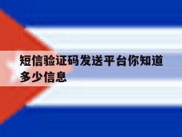 短信验证码发送平台你知道多少信息