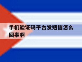 手机验证码平台发短信怎么回事啊
