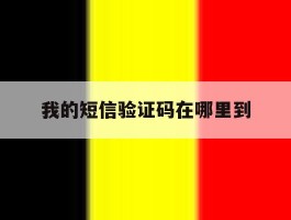 我的短信验证码在哪里到