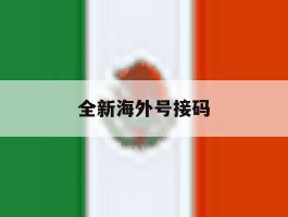 全新海外号接码
