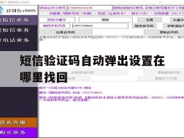 短信验证码自动弹出设置在哪里找回