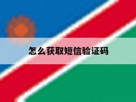 怎么获取短信验证码