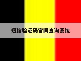 短信验证码官网查询系统