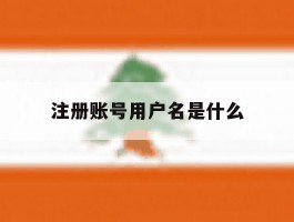 注册账号用户名是什么