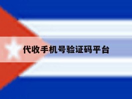 代收手机号验证码平台