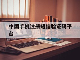 中国手机注册短信验证码平台