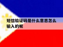 短信验证码是什么意思怎么输入的呢