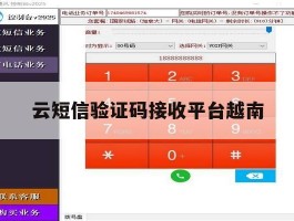 云短信验证码接收平台越南
