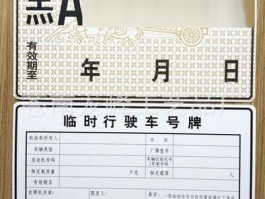临时号牌的有效期